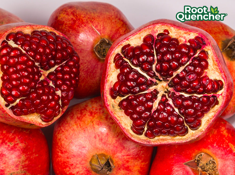 What s In Season In September In California Root Quencher what-s-in-season-in-september-in-california-root-quencher