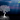 How to Promote Root Growth in Trees