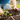 Square Foot Gardening Planning