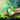 The Secret Blog