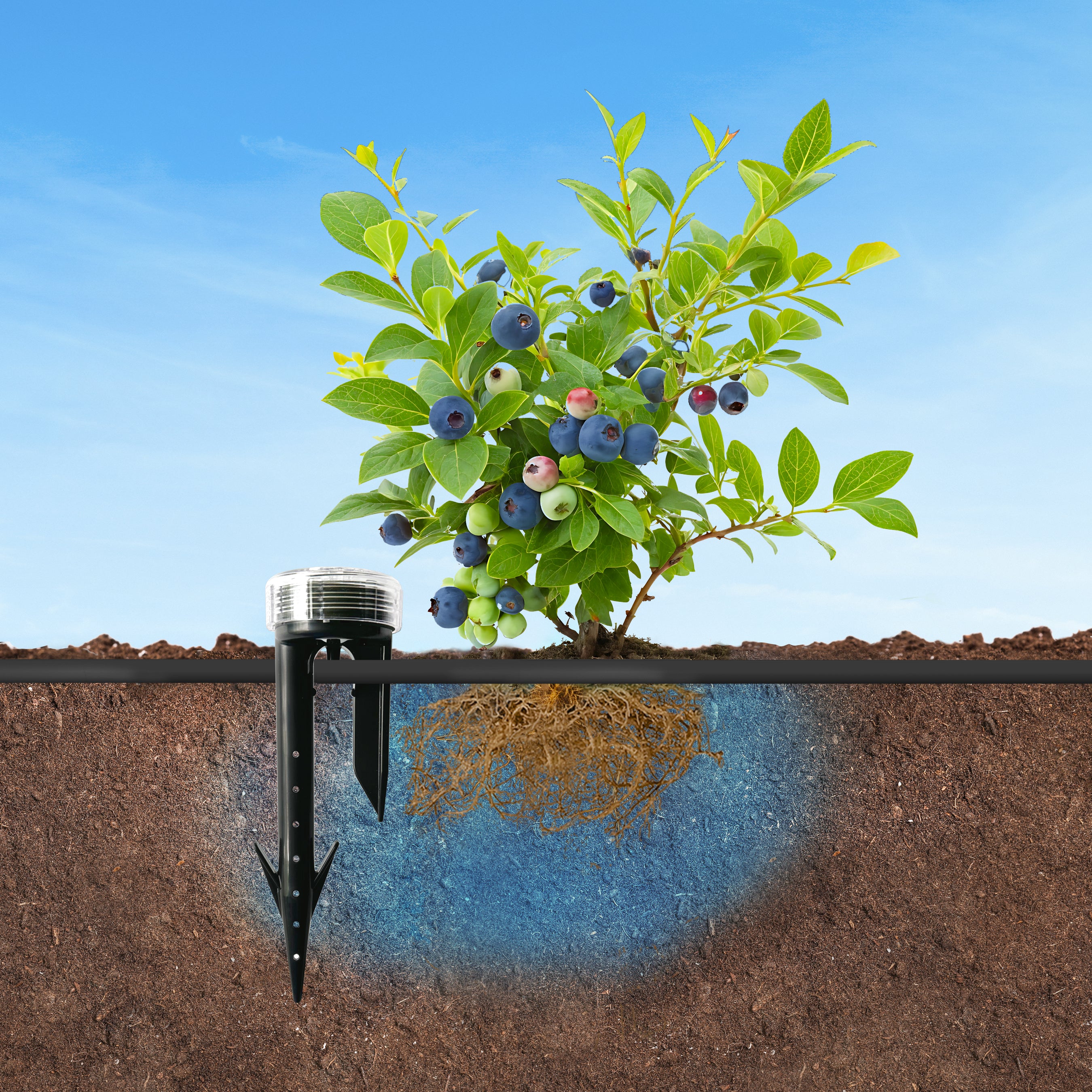water spikes for pot plants Root Quencher Spike® Deep Watering Device