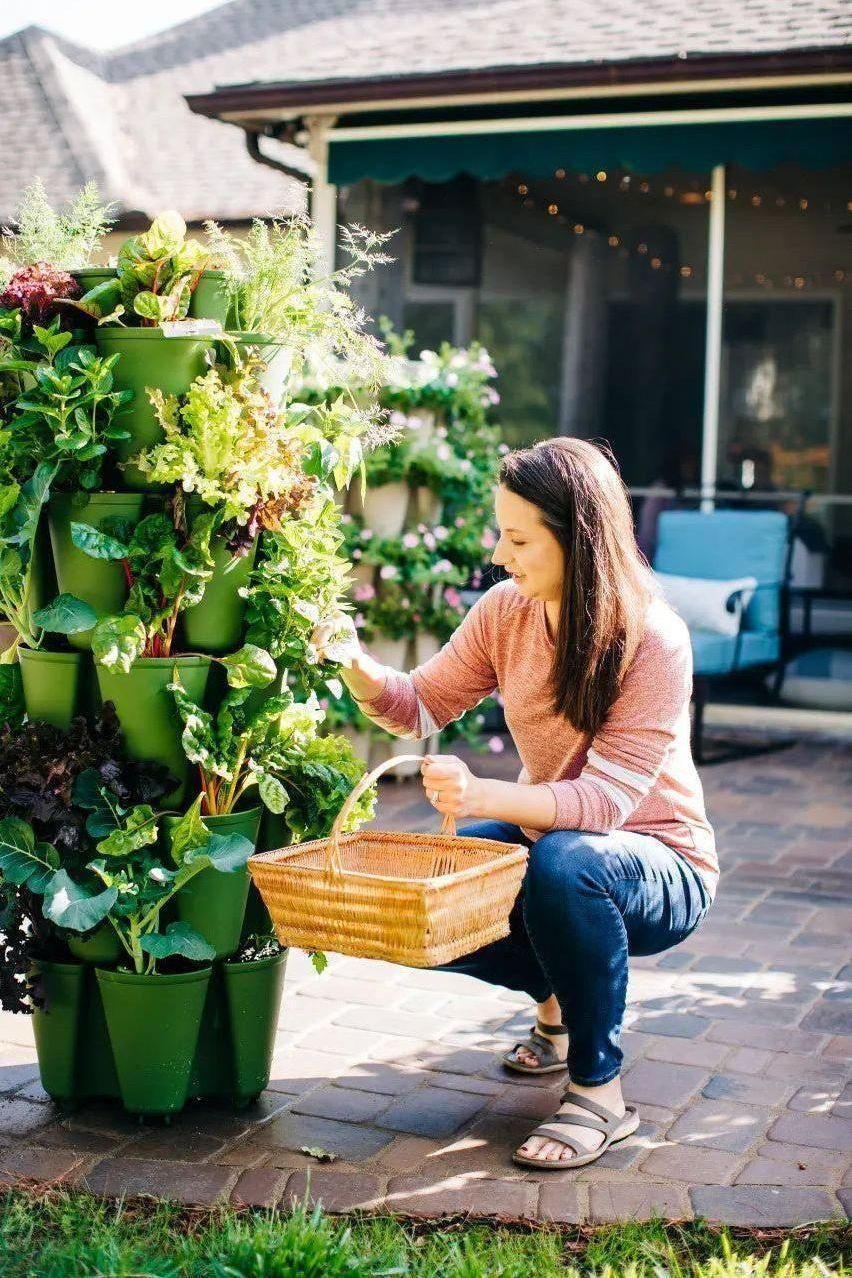 greenstalk vertical planters 5 Tier GreenStalk Garden Original Vertical Planter - Basic Texture Evergreen