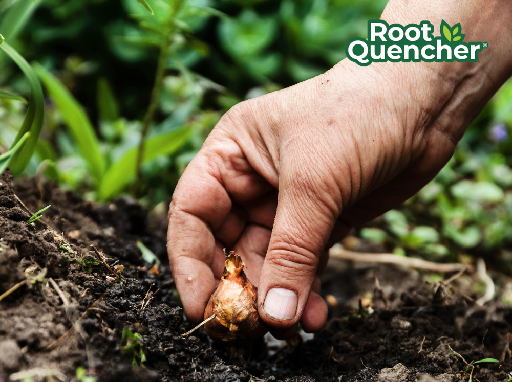 healthy soil for fall planting