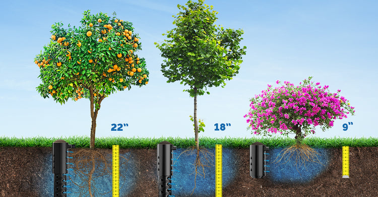 Transforming Landscapes: Advancing Garden Health with Eco-Conscious Wa ...