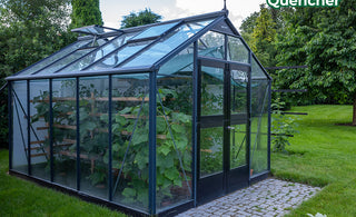 Growing Your Own Produce in a Greenhouse