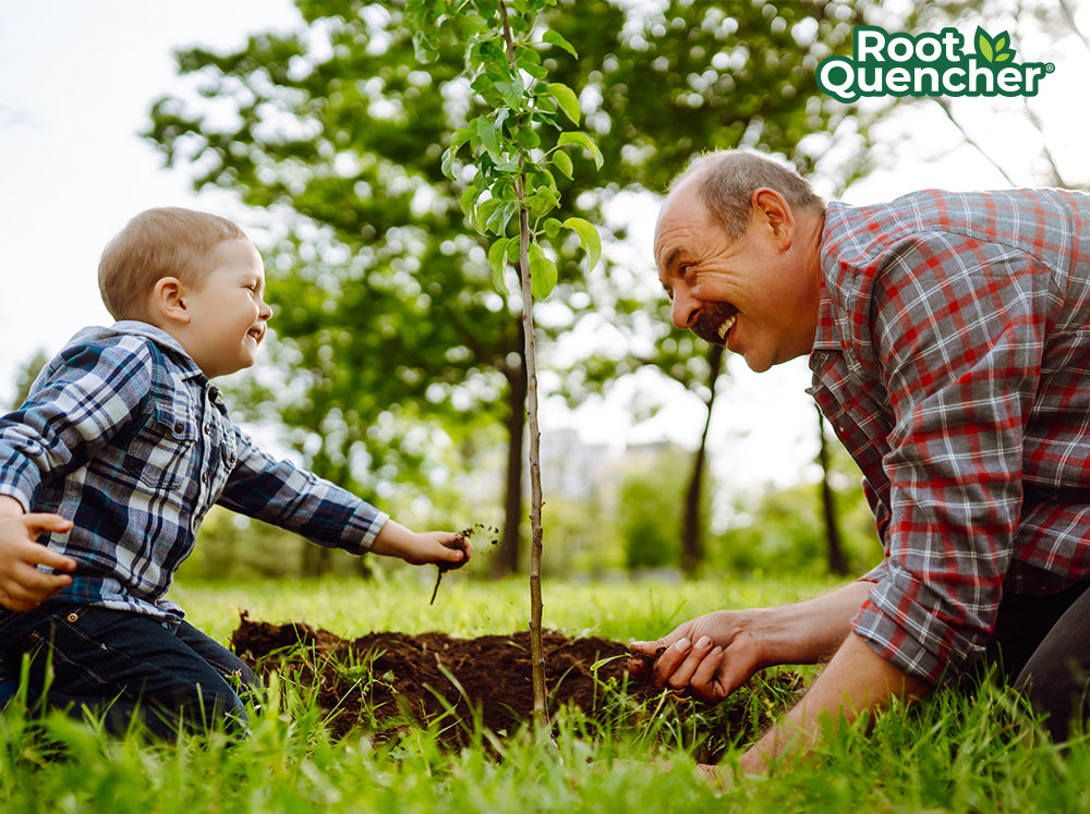Deep Root Irrigation Made Simple