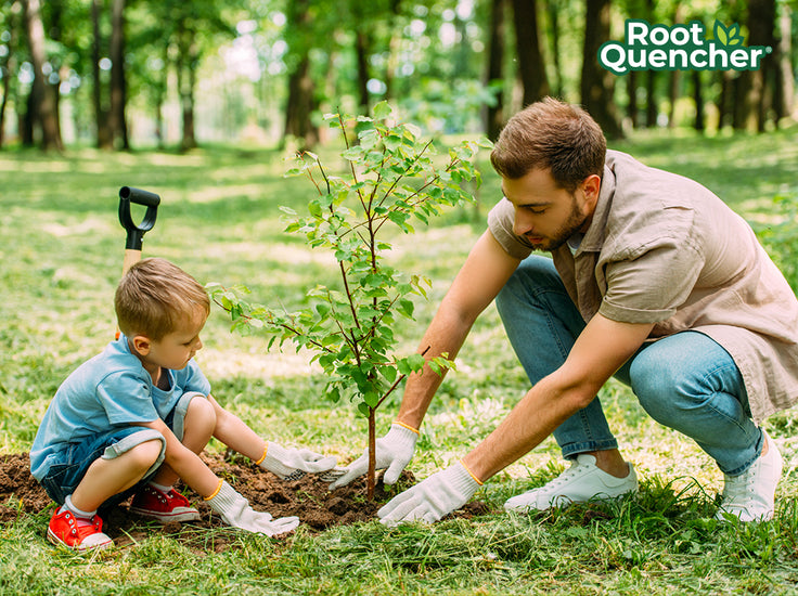 How to deep root water and irrigate your trees & shrubs Root Quencher