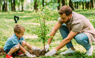 How to Deep Root Water and Irrigate Your Trees & Shrubs