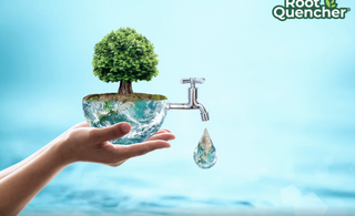 Water Conservation and What YOU Can Do To Save Water