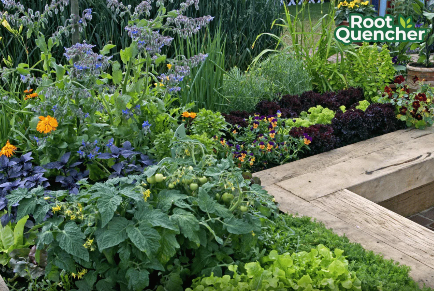 What is Deep Root Watering For The Garden?