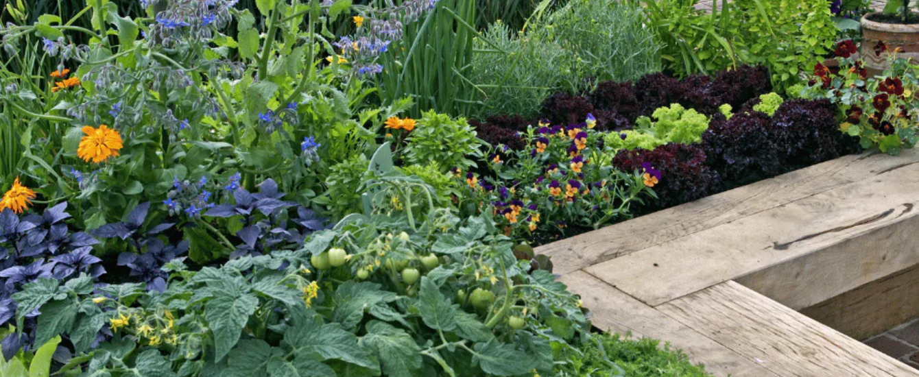 What is Deep Root Watering For The Garden? – Root Quencher