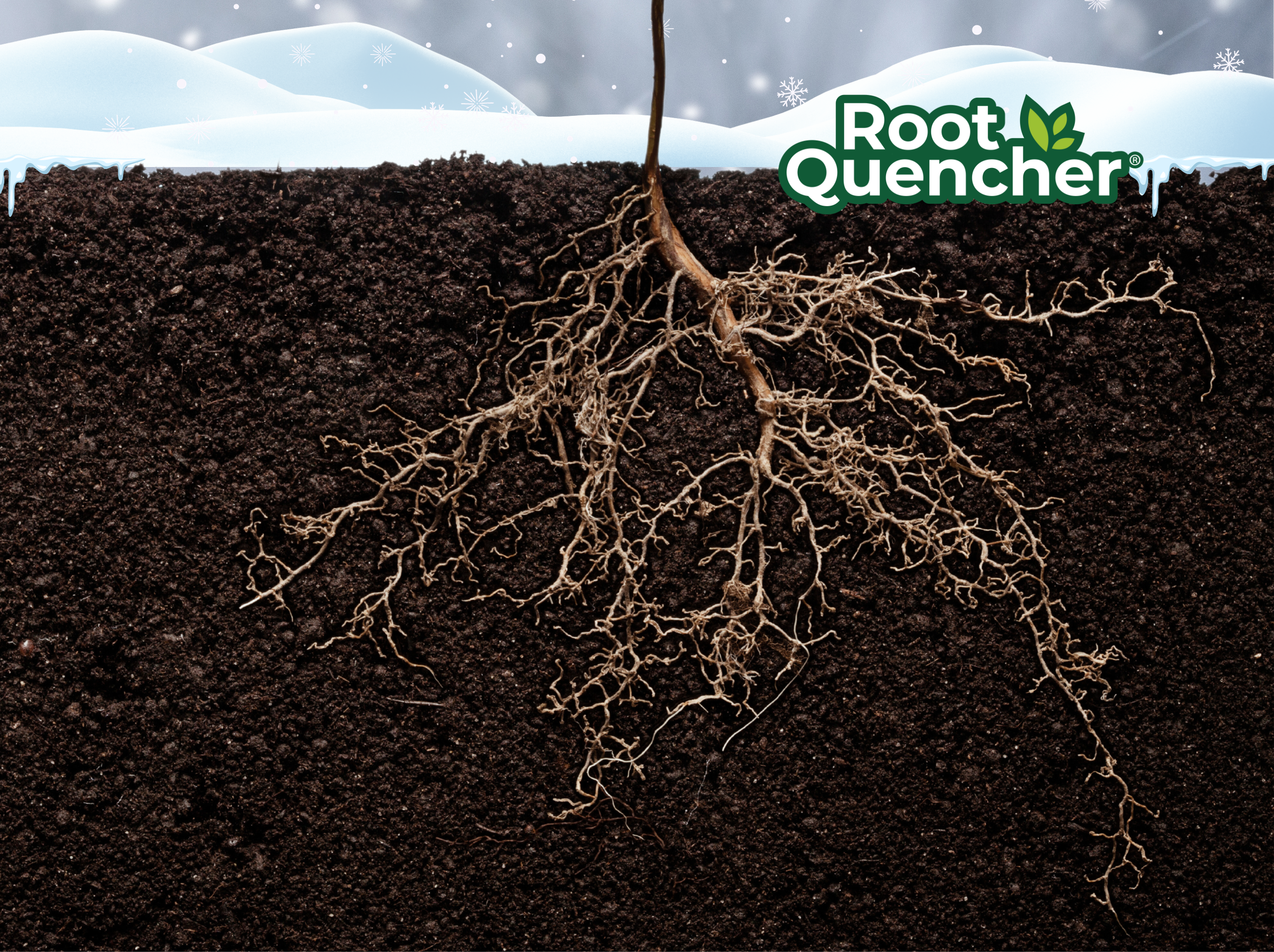 Deep Root Watering In Winter