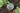 Root Quencher Products
