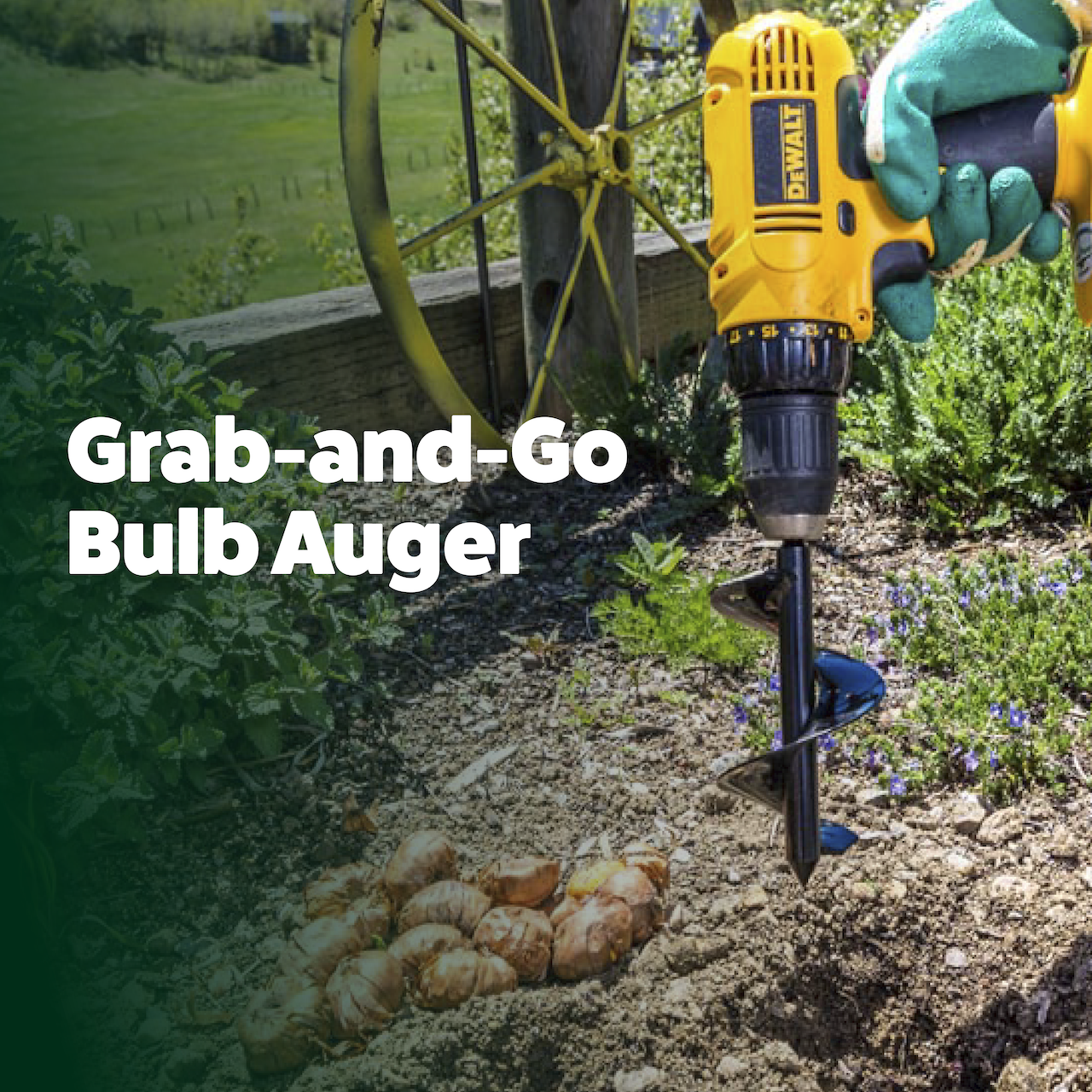 Bulb Planting Auger & Bedding Plant Tool (3