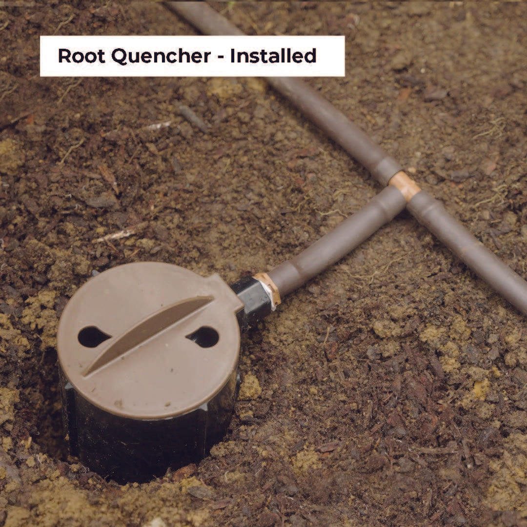 Root Quencher®