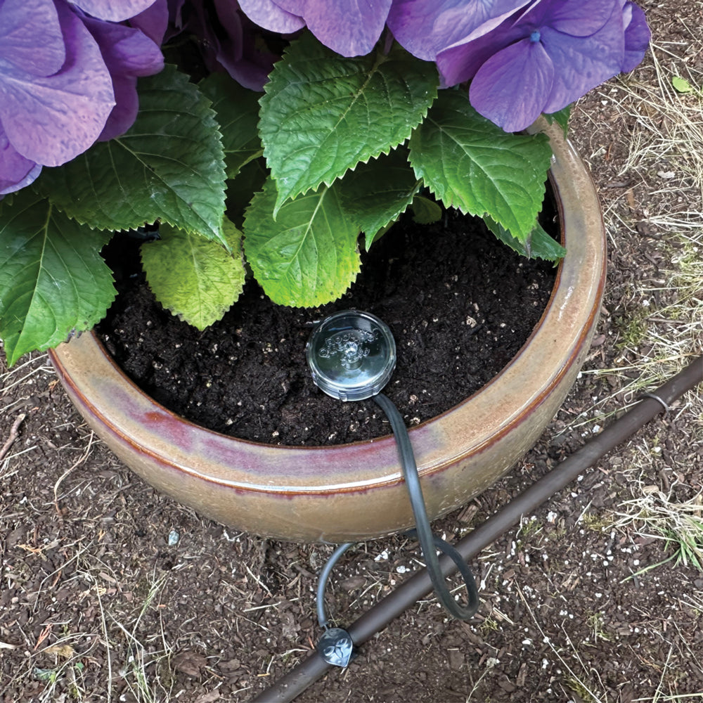 Subsurface Irrigation Essentials for Your Plants!