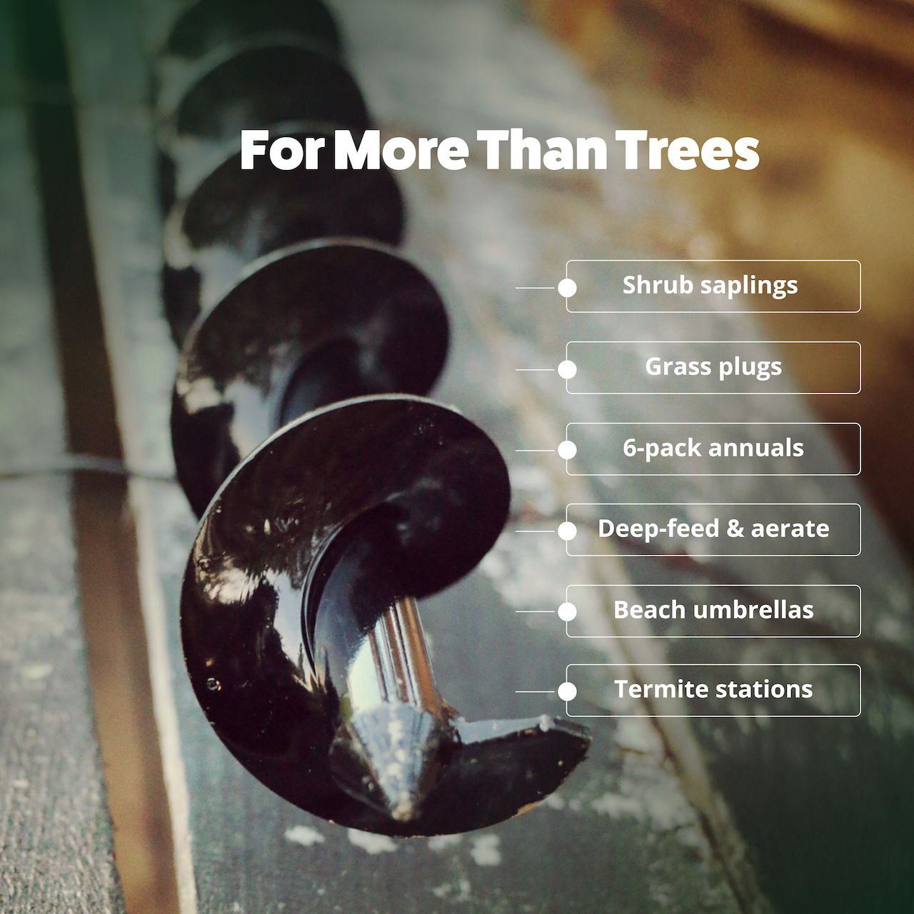 Tree Planting Auger Bit (2