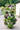 7 Tier GreenStalk Garden Leaf Vertical Planter - Basic Texture