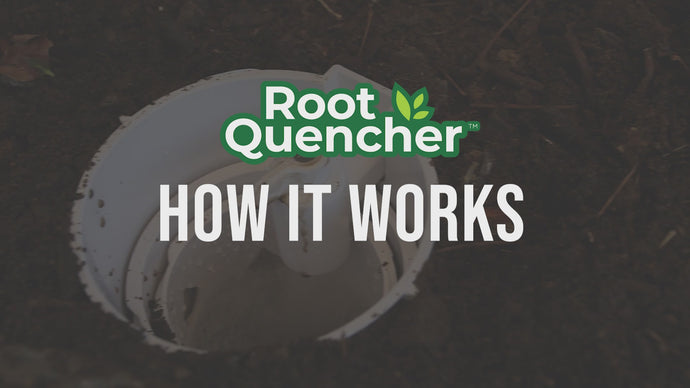 How deep root watering works with Root Quencher